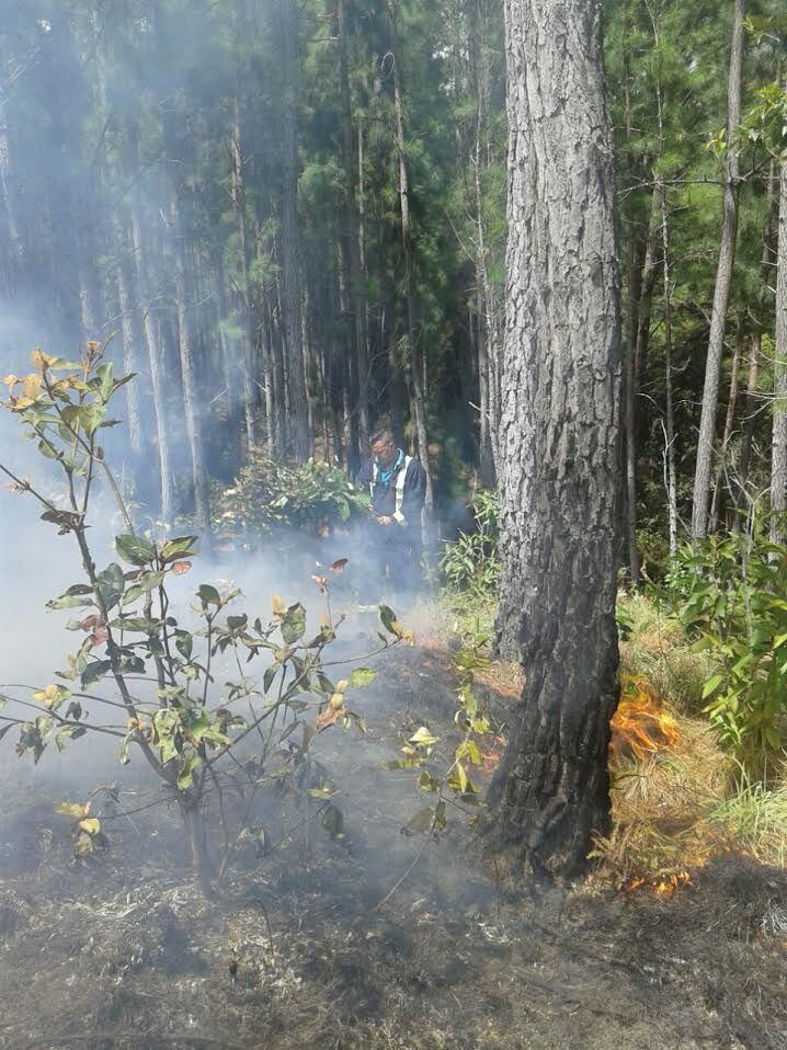 Se incendia la Reserva Forestal de La Laguna de La Yeguada en Veraguas
