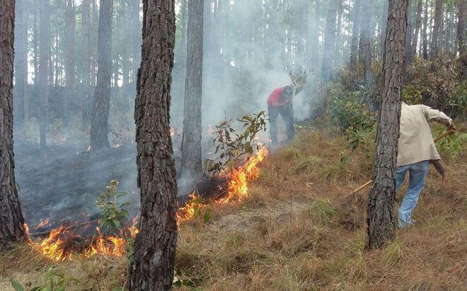 Se incendia la Reserva Forestal de La Laguna de La Yeguada en Veraguas