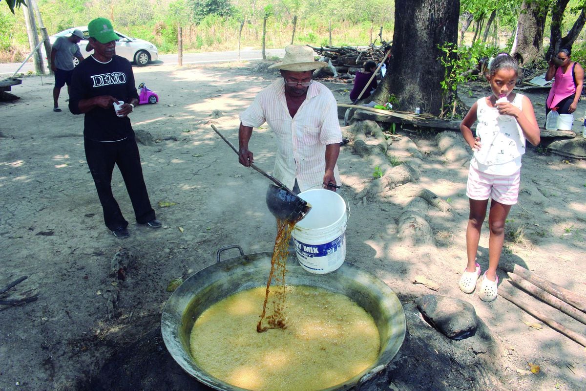 ¡Qué delicia! Así elaboran raspadura en Cabuya de Chame