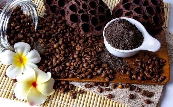 Competencia por la calidad del mejor café de Panamá