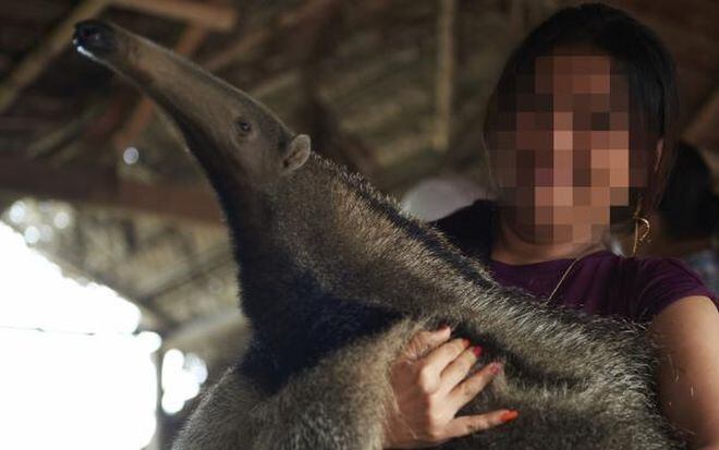 Panamá, entre los países con más 'selfies' junto a animales silvestres 
