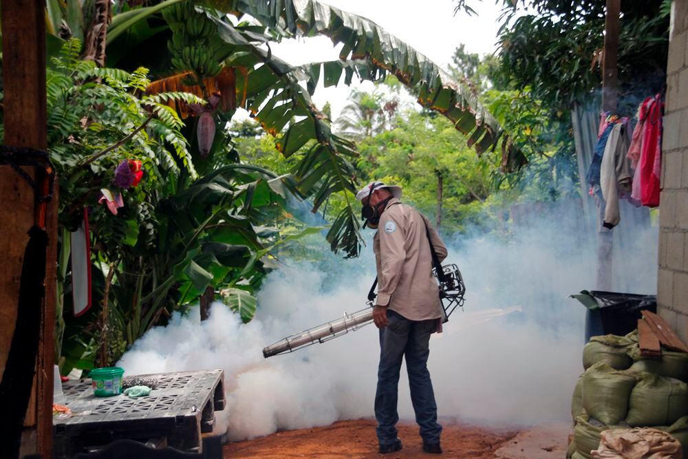 ¡Tenga cuidado! Una mujer muere por dengue en San Miguelito