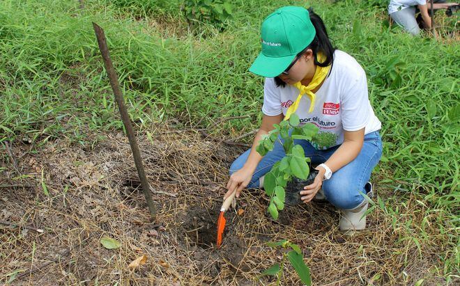 Agua para el futuro. Voluntarios reforestan 1.5 hectáreas en Colón