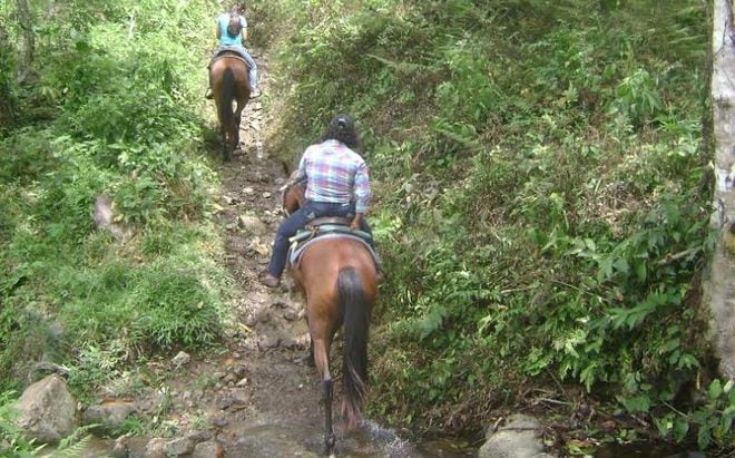 Moradores de Dominical en Renacimiento exigen vías 