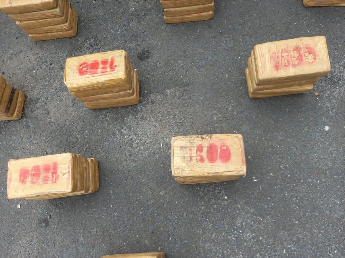 Decomisan 74 paquetes de droga en Río Alejandro