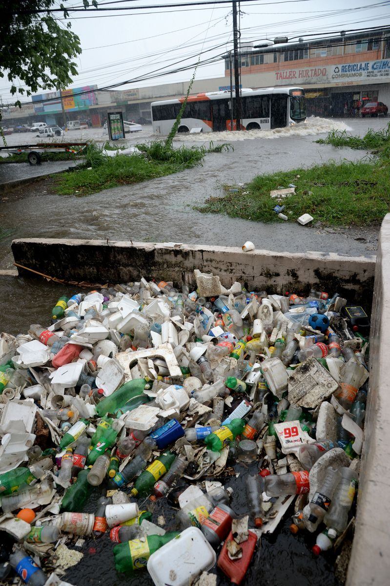 Jorge Jaén responde a El Preguntón de Mi Diario sobre el actuar de Ministerio de Ambiente para conservar los Humedales ¿Playa y Plásticos?