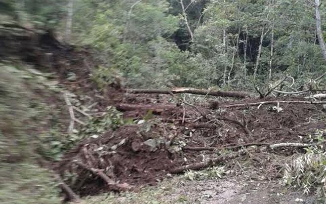Lluvias causan desprendimientos de tierras en Chiriquí