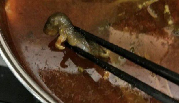La rata muerta que le costó US$190 millones a un restaurante en China