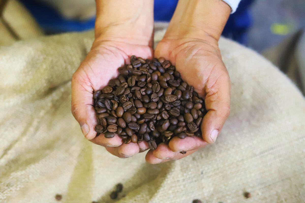 Panamá importará café debido a la demanda, siguen sufriendo los efectos de ETA e IOTA