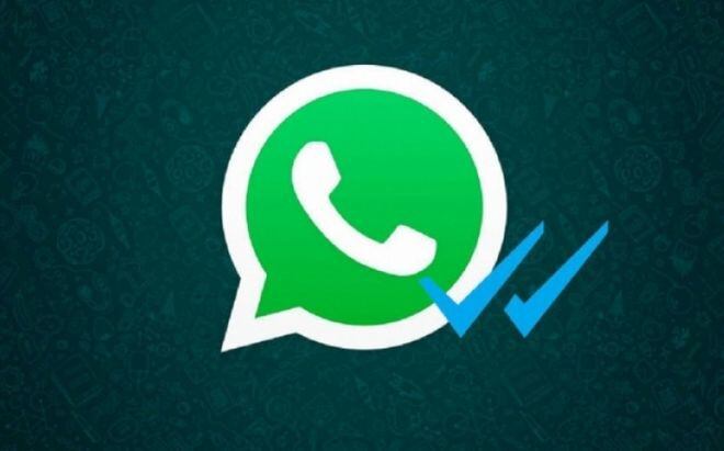 WhatsApp empezó a borrar los chats que no estén almacenados en Google Drive