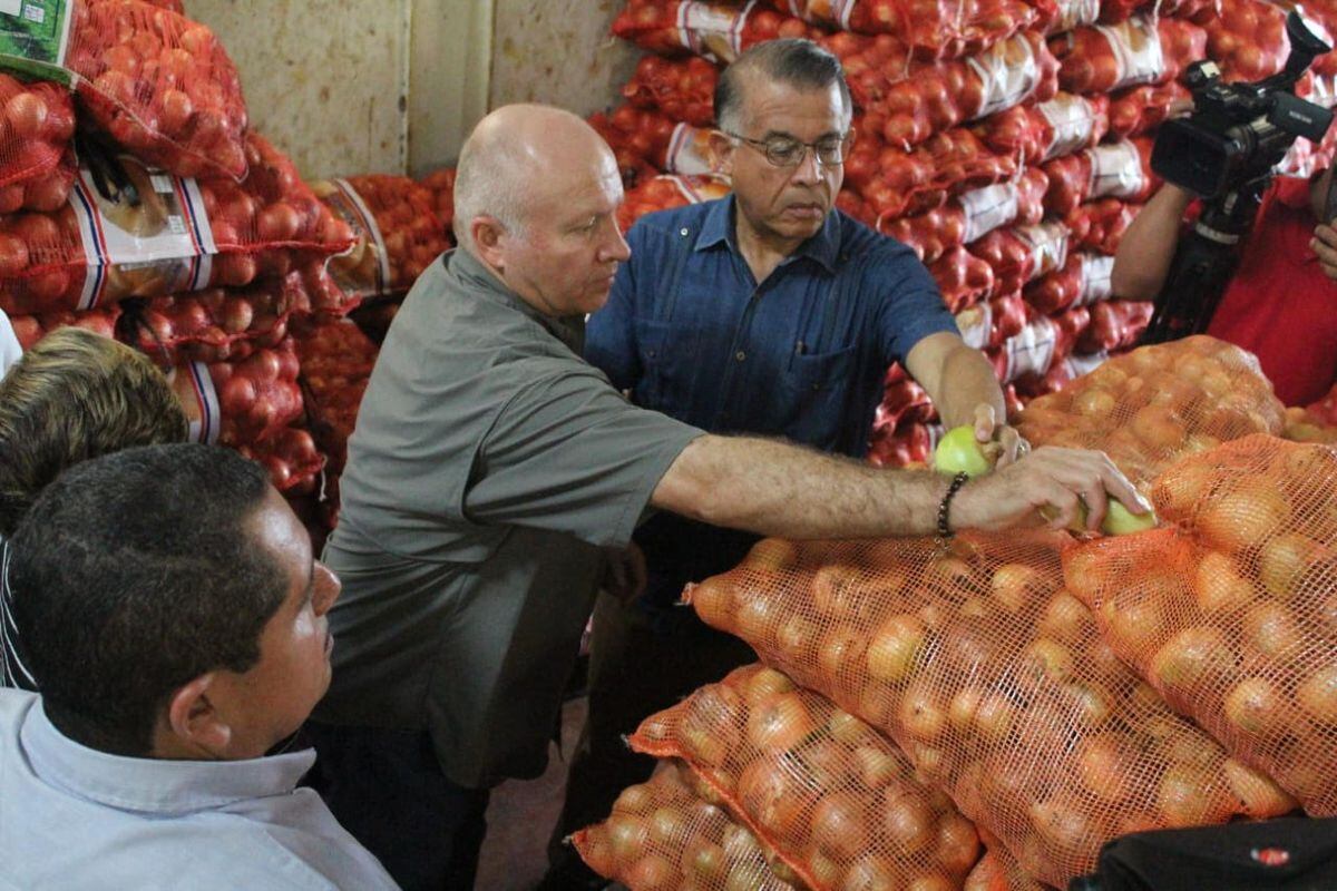Productores están vigilante ante especulación del precio de la cebolla que entró al país libre de arancel 