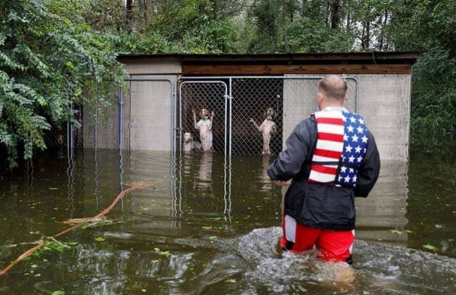 Este hombre rescató a 6 perros encerrados durante Huracán Florence