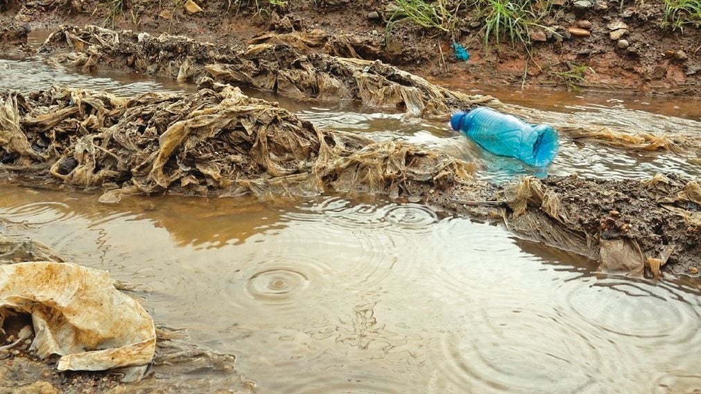 Exhibición artística de Panamá sobre contaminación por plásticos llega a Perú