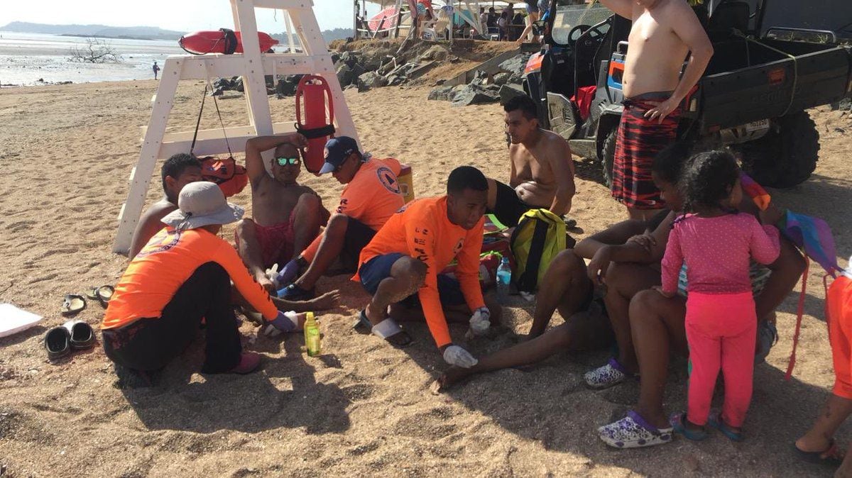 Prohíben ingreso en playas de Panamá Oeste tras picaduras a bañistas