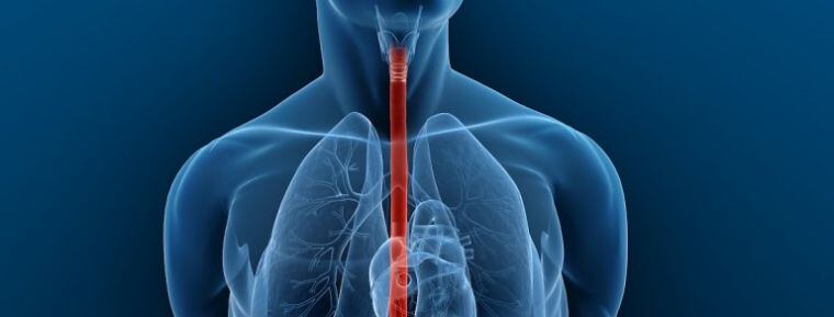 Tomar bebidas calientes aumenta el riesgo de padecer cáncer de esófago