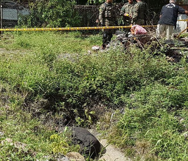 DANTESCO. En pedazos, cuerpo de hombre desmembrado fue descubierto por un perro