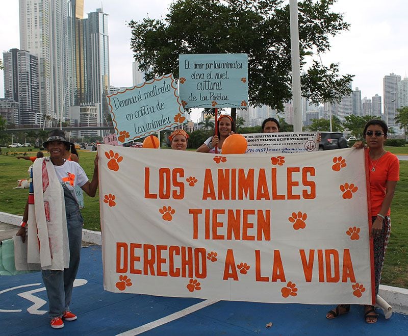 Mónica Lee y Calle 7 participarán en el Gran Desfile Canino de Chanis