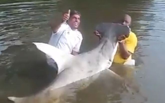 ¡INDIGNANTE! Capturan a tiburón en peligro de extinción y se toman 'selfies'