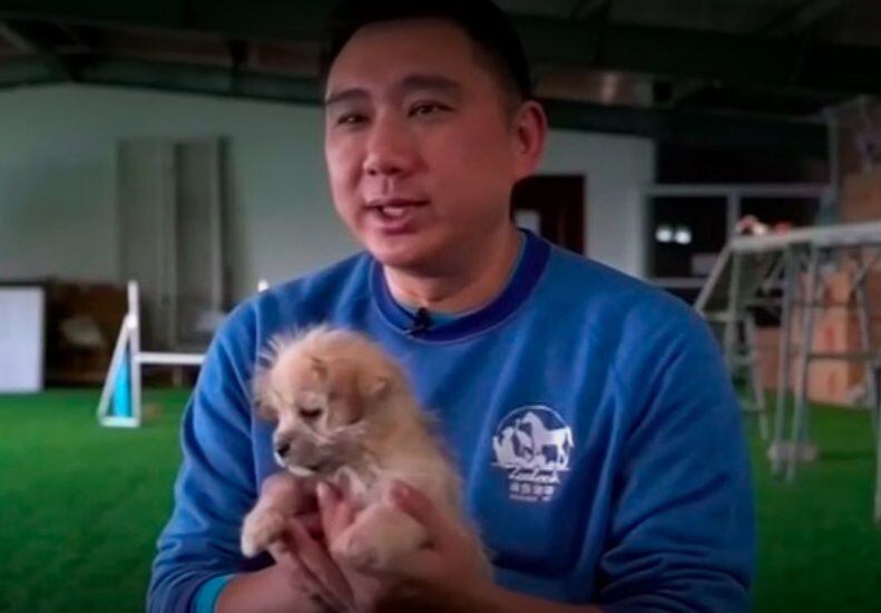Pagó 76 mil dólares para que le clonaran a su perrito estrella en China
