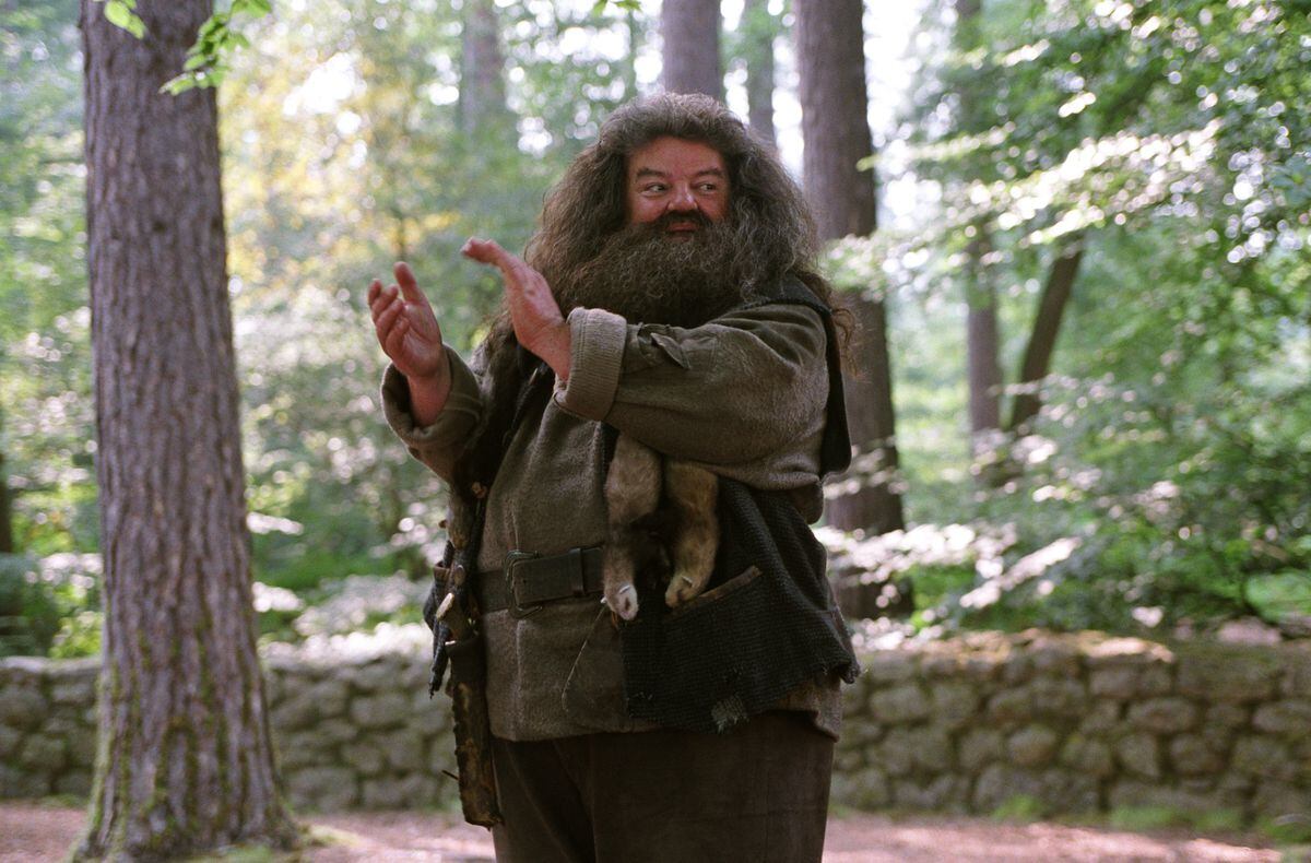 Fallece actor de ‘Hagrid’  en la saga de películas de Harry Potter