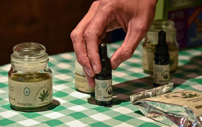 Panamá acogerá primera Cumbre Internacional sobre uso del cannabis medicinal