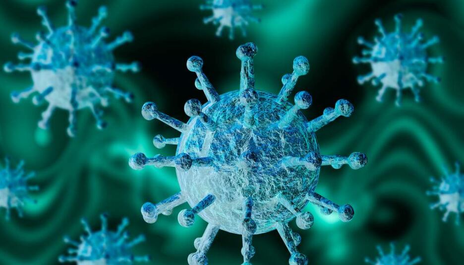 Descubren en Brasil el Yaravirus, un virus desconocido para el humano