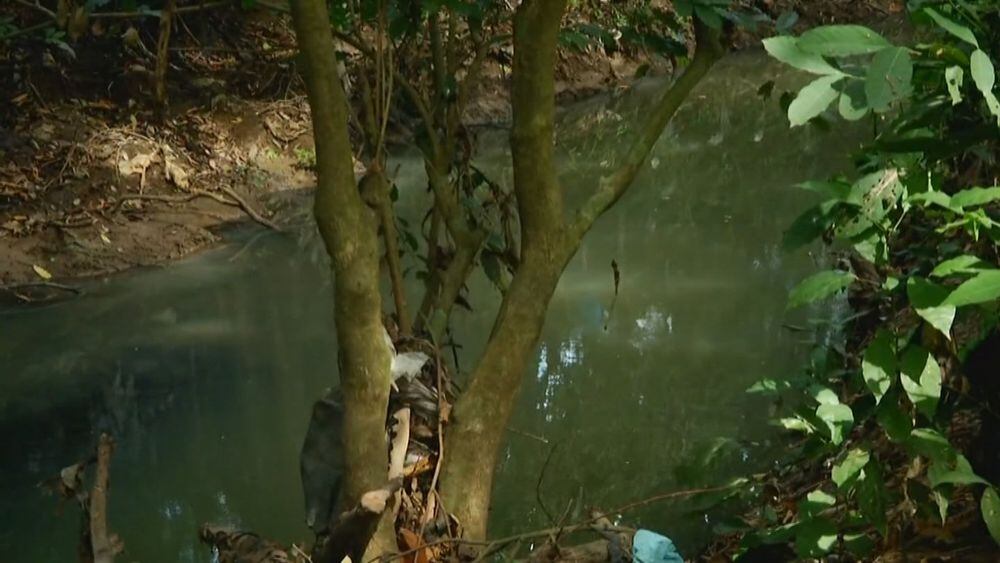 Menor desmembrado. Encuentran más partes de su cuerpo. Todo apunta a un horrendo homicidio. Video