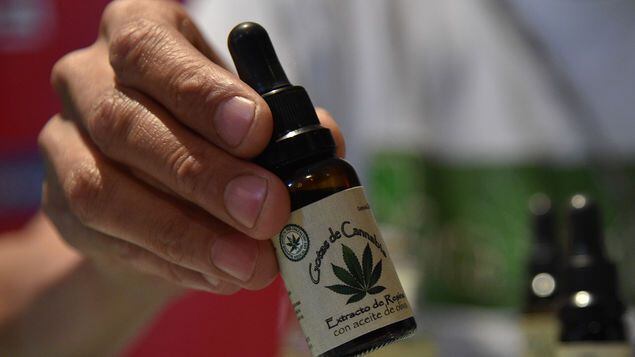 Marihuana medicinal se establecerá mundialmente y Panamá jugará un rol vital