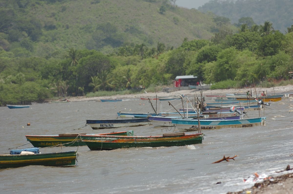 Asesinan a distribuidor de pescado en La Milagrosa, distrito de La Chorrera