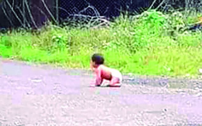 Senniaf en alerta. Bebé de 9 meses gateando solo en plena calle en Chiriquí