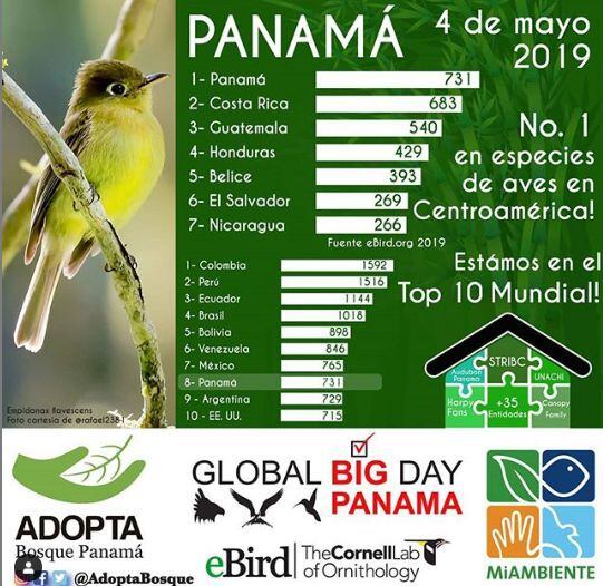 Plataformas que te ayudan a contar e identificar los pájaros que hay en Panamá