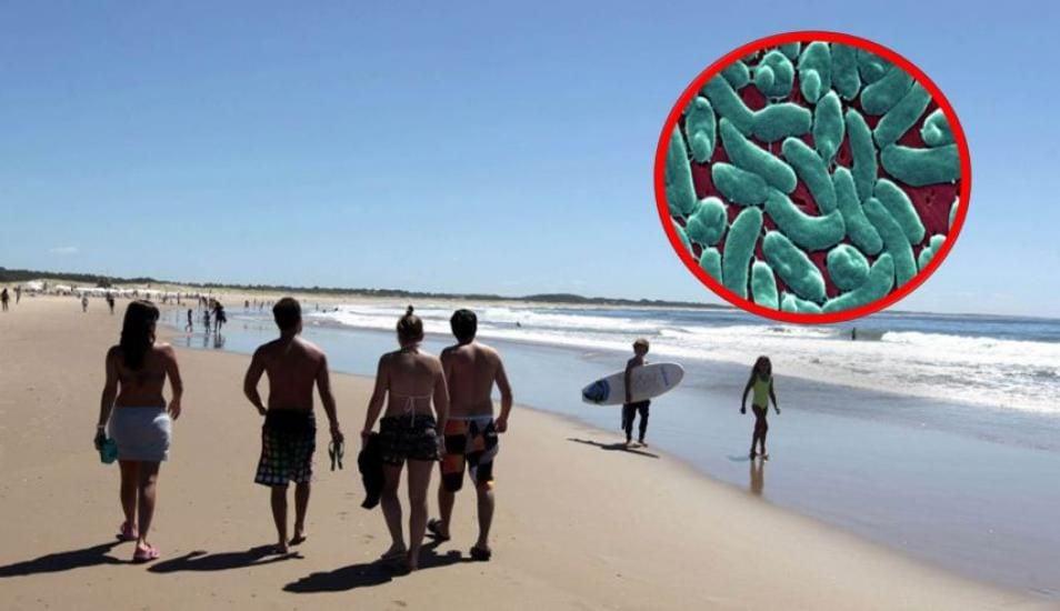 Hombre muere en una playa por mortal bacteria 'comecarne' en el mar
