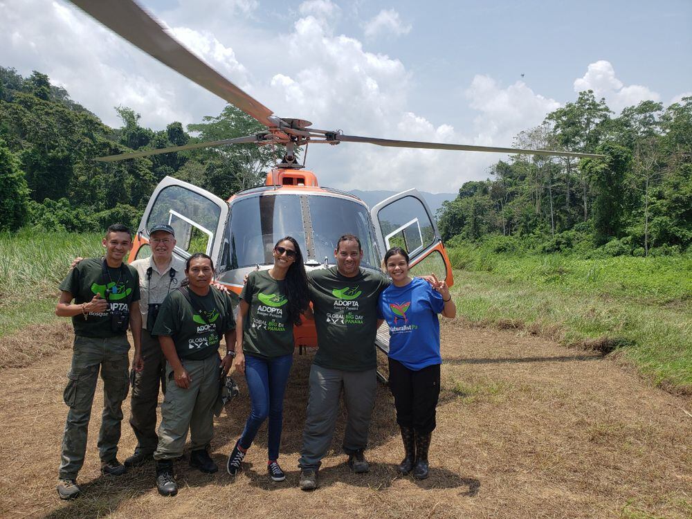 Plataformas que te ayudan a contar e identificar los pájaros que hay en Panamá