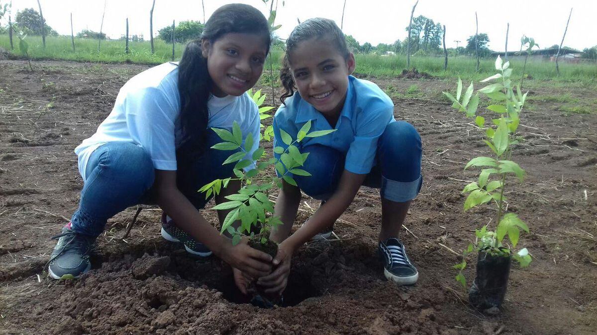 En medio del lanzamiento de reforestación pronuncian aumento para los docentes 