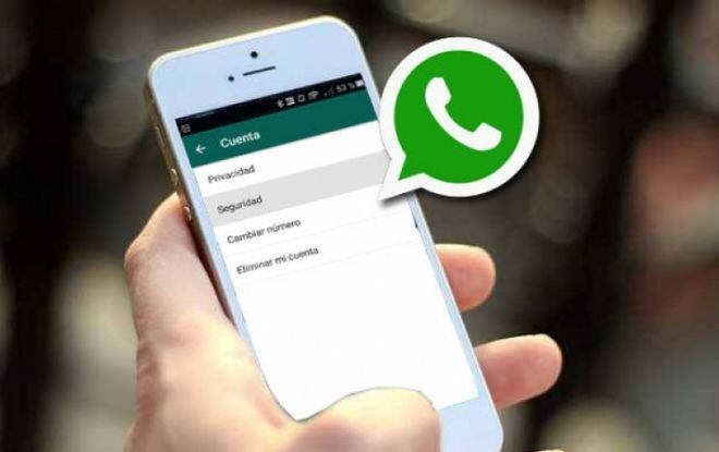 Descubren un fallo en WhatsApp que permite infiltrarse en un grupo y leer su sms