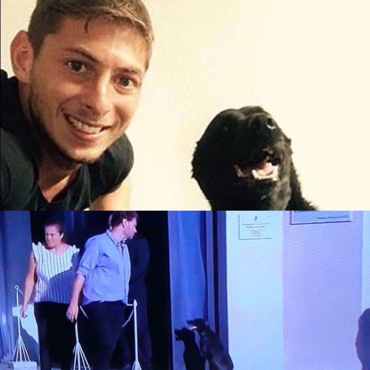 'Nala' la perrita de Emiliano Sala, futbolista fallecido, lo despide