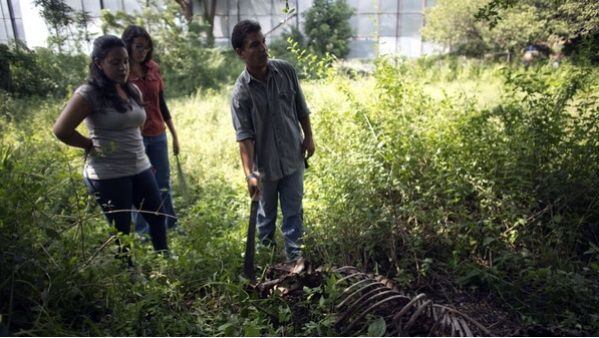 En Venezuela el hambre es tanta que desmembraron a un caballo de veterinaria