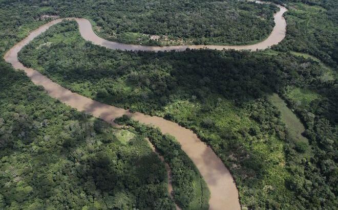 Bosques tropicales deben ser una  prioridad mundial