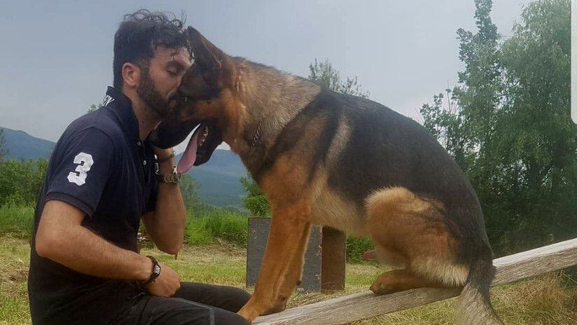 Envenenaron a perro heróico Kaos que salvó a decenas de italianos tras sismo