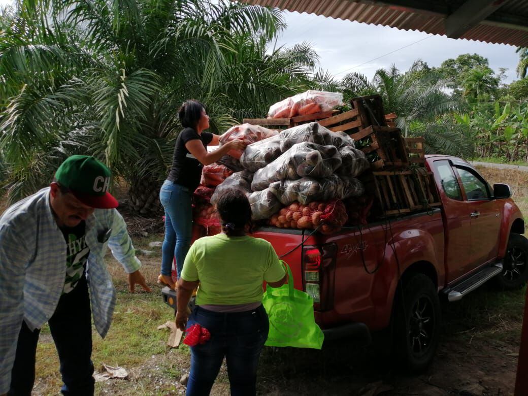 Productores chiricanos de Tierras Altas donan comida a más de 500 familias en Puerto Armuelles