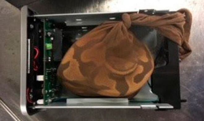 Pasajero intentó traficar una pitón poniéndola dentro de una computadora