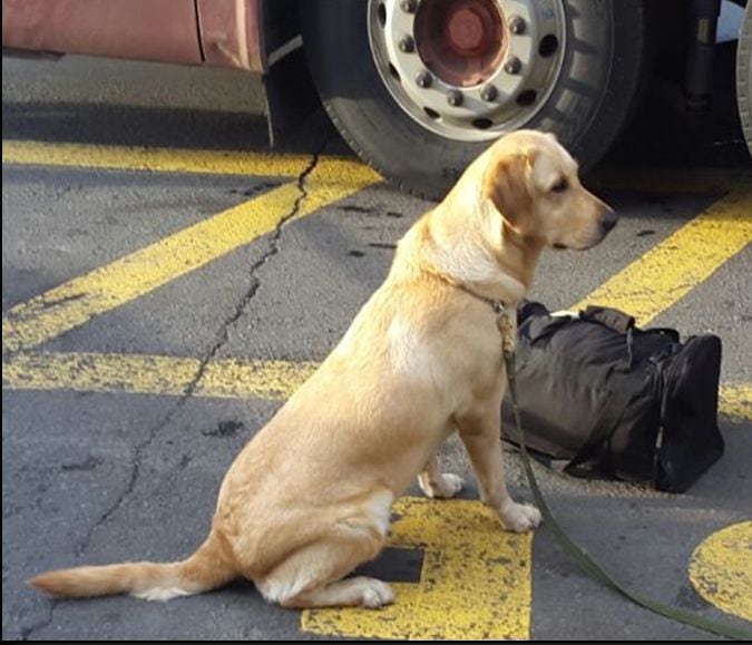 LA ABANDONARON. Encuentran maleta negra con cocaína en un bus