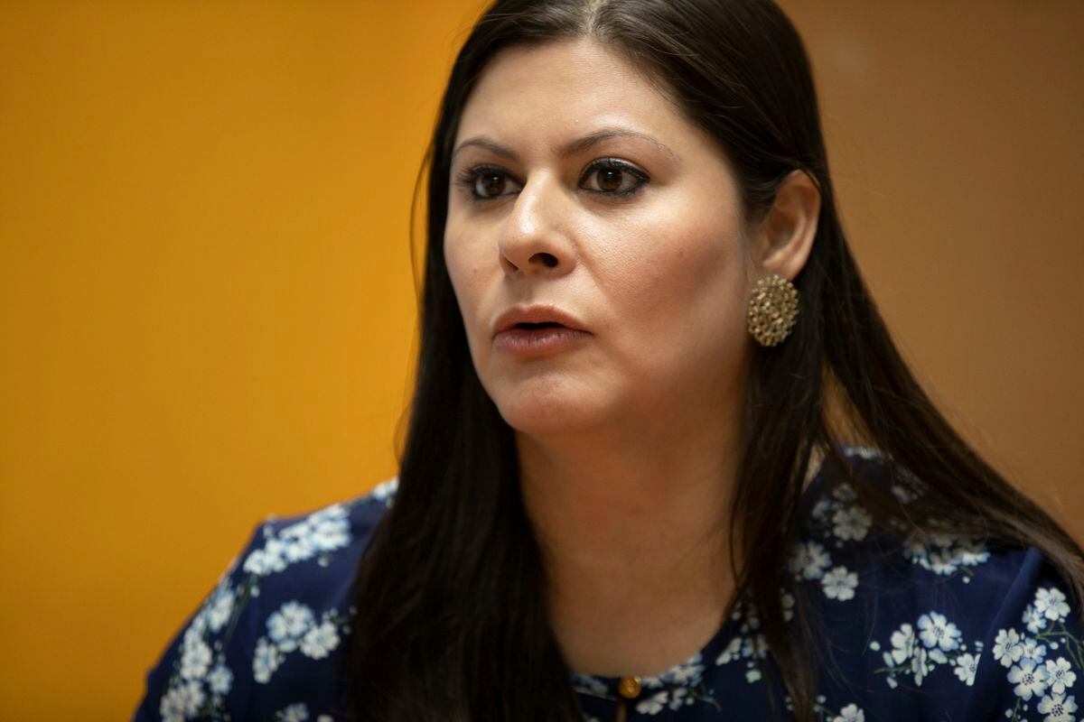 'A mi abogada trataron de quebrarla’. Carla García, quien impugnó al diputado Adames, denuncia más amenazas. Video